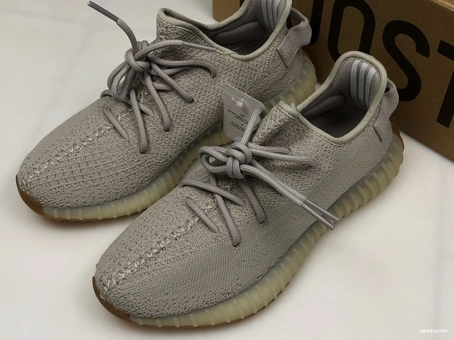 350 V2 Yeezy Adidas F99710 Sesame Boost 1007